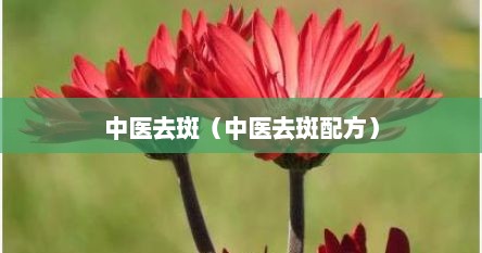 中医去斑（中医去斑配方）