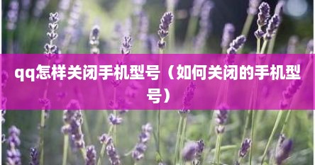 qq怎样关闭手机型号（如何关闭的手机型号）