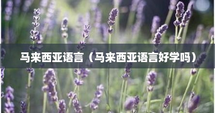 马来西亚语言（马来西亚语言好学吗）