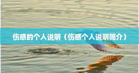 伤感的个人说明（伤感个人说明简介）