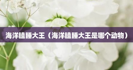 海洋瞌睡大王（海洋瞌睡大王是哪个动物）