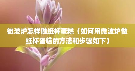 微波炉怎样做纸杯蛋糕（如何用微波炉做纸杯蛋糕的方法和步骤如下）