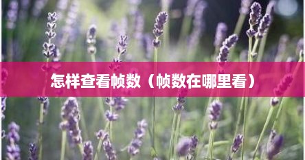 怎样查看帧数（帧数在哪里看）