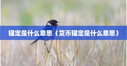 锚定是什么意思（货币锚定是什么意思）