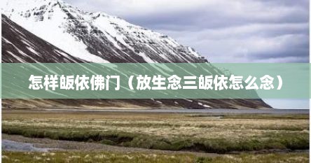 怎样皈依佛门（放生念三皈依怎么念）
