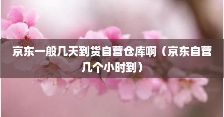 京东一般几天到货自营仓库啊（京东自营几个小时到）