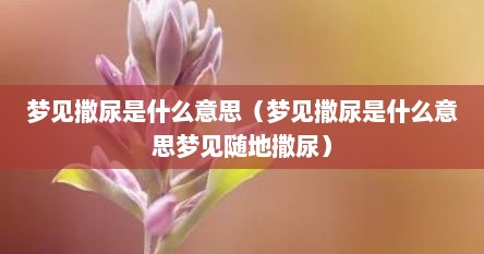梦见撒尿是什么意思（梦见撒尿是什么意思梦见随地撒尿）