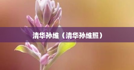 清华孙维（清华孙维照）