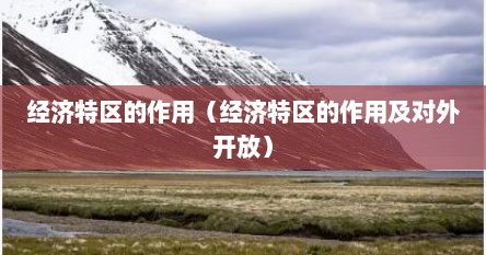 经济特区的作用（经济特区的作用及对外开放）