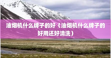 油烟机什么牌子的好（油烟机什么牌子的好用还好清洗）