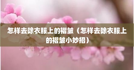 怎样去除衣服上的褶皱（怎样去除衣服上的褶皱小妙招）