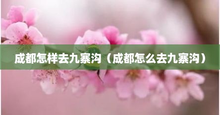 成都怎样去九寨沟（成都怎么去九寨沟）