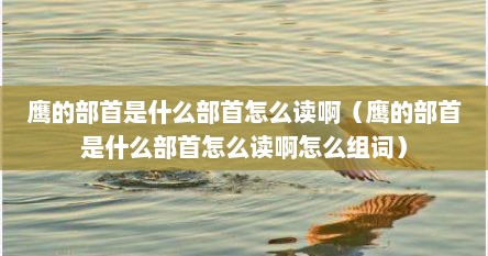 鹰的部首是什么部首怎么读啊（鹰的部首是什么部首怎么读啊怎么组词）