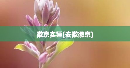 徽京实锤(安徽徽京)