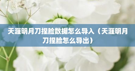 天涯明月刀捏脸数居怎么导入（天涯明月刀捏脸怎么导出）