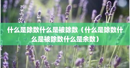 什么是除数什么是被除数（什么是除数什么是被除数什么是余数）