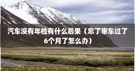 汽车没有年检有什么后果（忘了审车过了6个月了怎么办）
