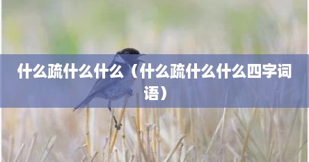 什么疏什么什么（什么疏什么什么四字词语）