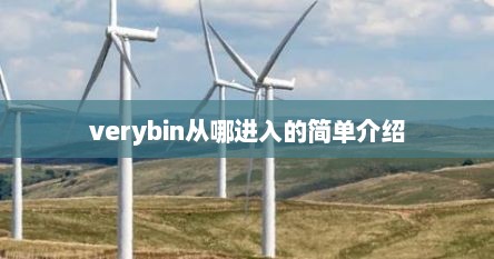 verybin从哪进入的简单介绍