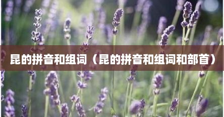 昆的拼音和组词（昆的拼音和组词和部首）