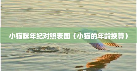小猫咪年纪对照表图（小猫的年龄换算）