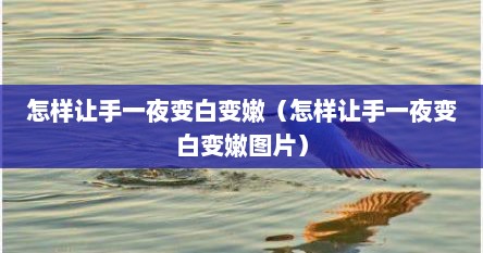 怎样让手一夜变白变嫩（怎样让手一夜变白变嫩图片）