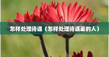 怎样处理待遇（怎样处理待遇差的人）