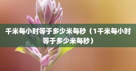 千米每小时等于多少米每秒（1千米每小时等于多少米每秒）