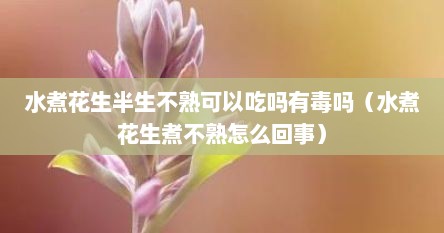 水煮花生半生不熟可以吃吗有毒吗（水煮花生煮不熟怎么回事）