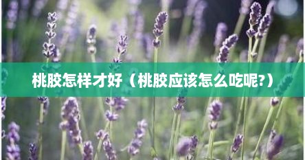 桃胶怎样才好（桃胶应该怎么吃呢?）