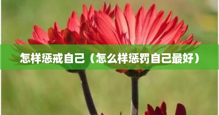 怎样惩戒自己（怎么样惩罚自己最好）