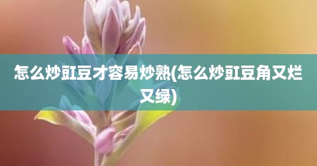 怎么炒豇豆才容易炒熟(怎么炒豇豆角又烂又绿)