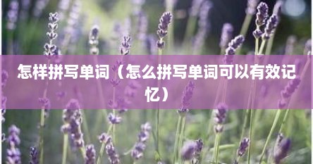 怎样拼写单词（怎么拼写单词可以有效记忆）