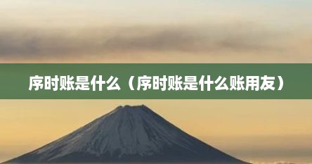 序时账是什么（序时账是什么账用友）