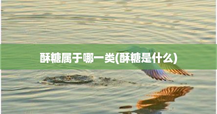 酥糖属于哪一类(酥糖是什么)