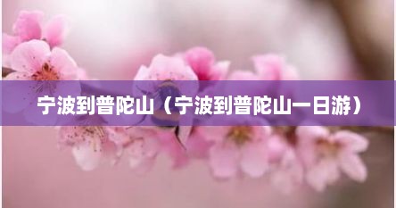 宁波到普陀山（宁波到普陀山一日游）