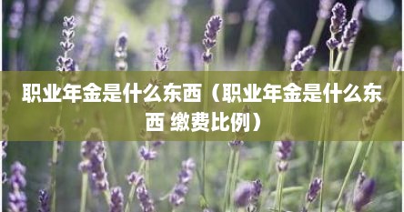 职业年金是什么东西（职业年金是什么东西 缴费比例）
