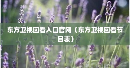 东方卫视回看入口官网（东方卫视回看节目表）