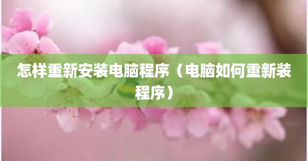 怎样重新安装电脑程序（电脑如何重新装程序）