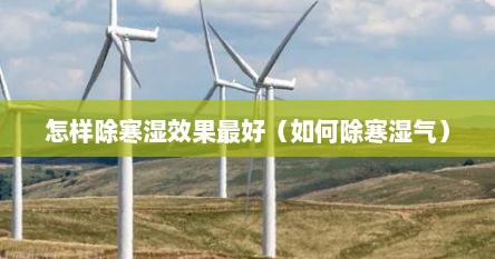 怎样除寒湿效果最好（如何除寒湿气）