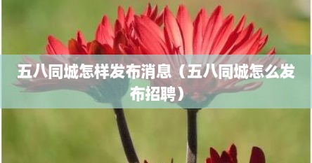 五八同城怎样发布消息（五八同城怎么发布招聘）