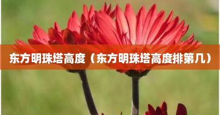 东方明珠塔高度（东方明珠塔高度排第几）