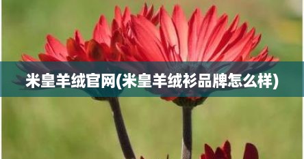 米皇羊绒官网(米皇羊绒衫品牌怎么样)