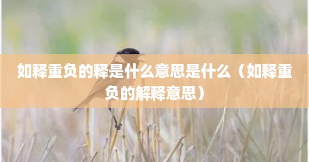 如释重负的释是什么意思是什么（如释重负的解释意思）