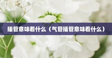 插管意味着什么（气管插管意味着什么）