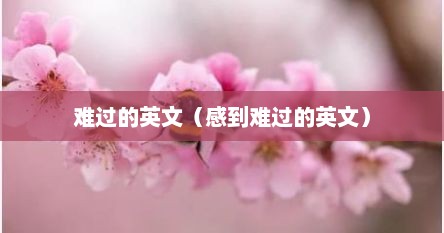 难过的英文（感到难过的英文）