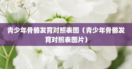 青少年骨骼发育对照表图（青少年骨骼发育对照表图片）