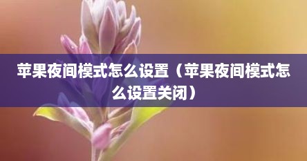 苹果夜间模式怎么设置（苹果夜间模式怎么设置关闭）