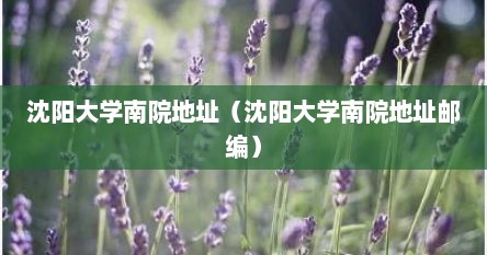 沈阳大学南院地址（沈阳大学南院地址邮编）