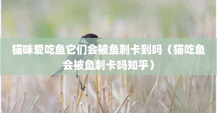 猫咪爱吃鱼它们会被鱼刺卡到吗（猫吃鱼会被鱼刺卡吗知乎）